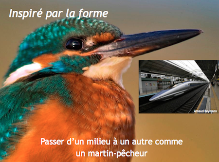 Formation biomimétisme - uTOP