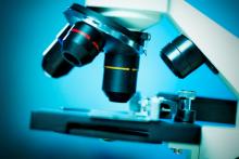 Microscope électronique.