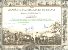 Diplôme d'Antonio Pizzi