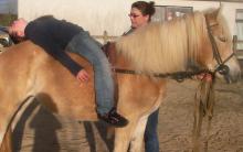 Image Wikimedia Commons