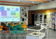 La fleur au fusil / 30 août au 5 octobre 2014 / CJBNancy