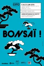 Bonsaï § expo CJBnancy juin 2015