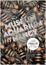 Affiche de l'exposition de Stéphane Mourgues