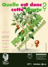 cours de perfectionnement à la botanique