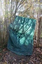 François Génot - Solo Salix