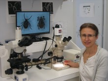 portrait de pascale Frey Klett