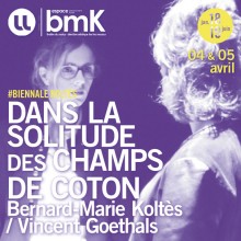 Affiche Dans la solitude des champs de coton