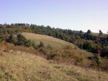 conférence de Alain Salvi sur les pelouses calcaires au jardin botanique Jean-Marie Pelt