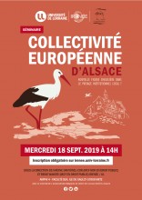 Collectivité Européenne d'Alsace - Nouvelle figure singulière dans le paysage institutionnel local ?