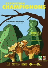 exposition de champignons