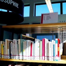 Plein soleil sur les rayons en CDD Plein soleil sur les rayons en CDD