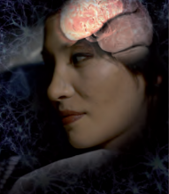 projction débat mémoire