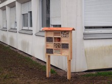 hôtels à insectes sur le campus Brabois Santé