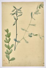 l' École nationale supérieure d'art et de design de Nancy vous présente certains de ses élèves illustres, commençant par Henri Bergé, illustrateur et décorateur.