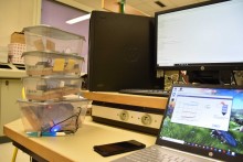 Prototype Hydros Prototype Hydros