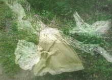 Exposition SŒURS D'ARBRES - Couleurs et cendres de la Forêt de Haye - par Ming Chun TU et Caroline ANTOINE 2021 Le Préau Tous droits réservés