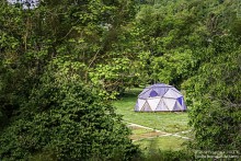 Comment intégrer/traiter de l’évolution du vivant dans les présentations et activités des Jardins botaniques, des Muséums d’histoire naturelle et des institutions culturelles ?