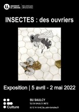 [Expo] Insectes : des ouvriers à la BU du Saulcy