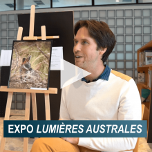 expo "Lumières australes" à la BU Ingénieurs Brabois expo "Lumières australes" à la BU Ingénieurs Brabois