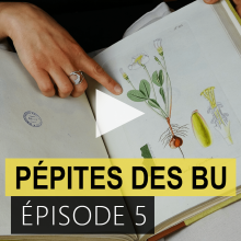 Pépites des BU : épisode 5