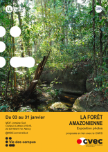 La forêt amazonienne