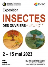 Affiche de l'expo : "Insectes"