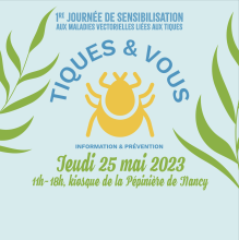 Tiques & vous