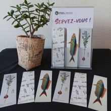 De nouveaux marque-pages collector dans les BU Photo des nouveaux marque-pages collector dans les BU
