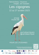 Affiche Les Cigognes