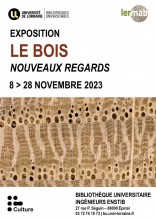 Affiche de l'exposition le bois nouveaux regards