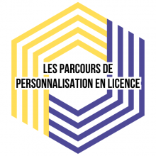 Les parcours de personnalisation en licence Les parcours de personnalisation en licence à l'Université de Lorraine
