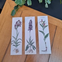 Marque-pages orchidées Marque-pages orchidées