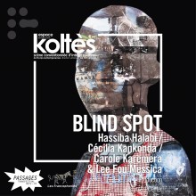 Vignette Blind Spot
