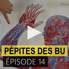 Pépites des BU - épisode 14