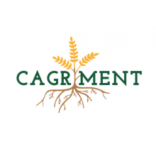 Logo Cagriment