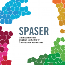 SPASER SPASER