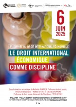 Le droit international économique comme discipline