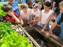 Groupe de collégiens expérimentant l'aquaponie Collégiens du réseau des collèges La main à la pâte