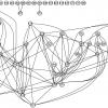 Les travaux statistiques permettent de produire des graphes complexes qui représentent les liens entre chaque espèce de bactéries.