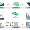 Schéma du procédé industriel de Biolie.