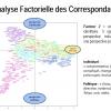 Les préoccupation des acteurs se déclinent selon deux axes : Logique sociale / Logique technique et Logique individuelle / Logique politique