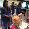 Ecole de chirurgie