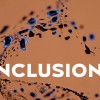 Inclusions