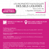 Flyer Conférence Liquides Ioniques Flyer conférence CHIC sur les liquides ioniques