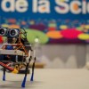 Atelier robotique
