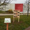 Hôtel à insectes sur le campus Brabois Santé Hôtel à insectes sur le campus Brabois Santé