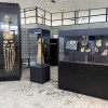 Vitrines avec fossiles Vitrines avec fossiles