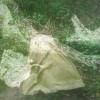 Exposition SŒURS D'ARBRES - Couleurs et cendres de la Forêt de Haye - par Ming Chun TU et Caroline ANTOINE 2021 Le Préau Tous droits réservés