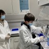 PCR sous hotte au Laboratoire Tous Chercheurs de Nancy PCR sous hotte au Laboratoire Tous Chercheurs de Nancy