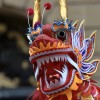 Dragon Dragon